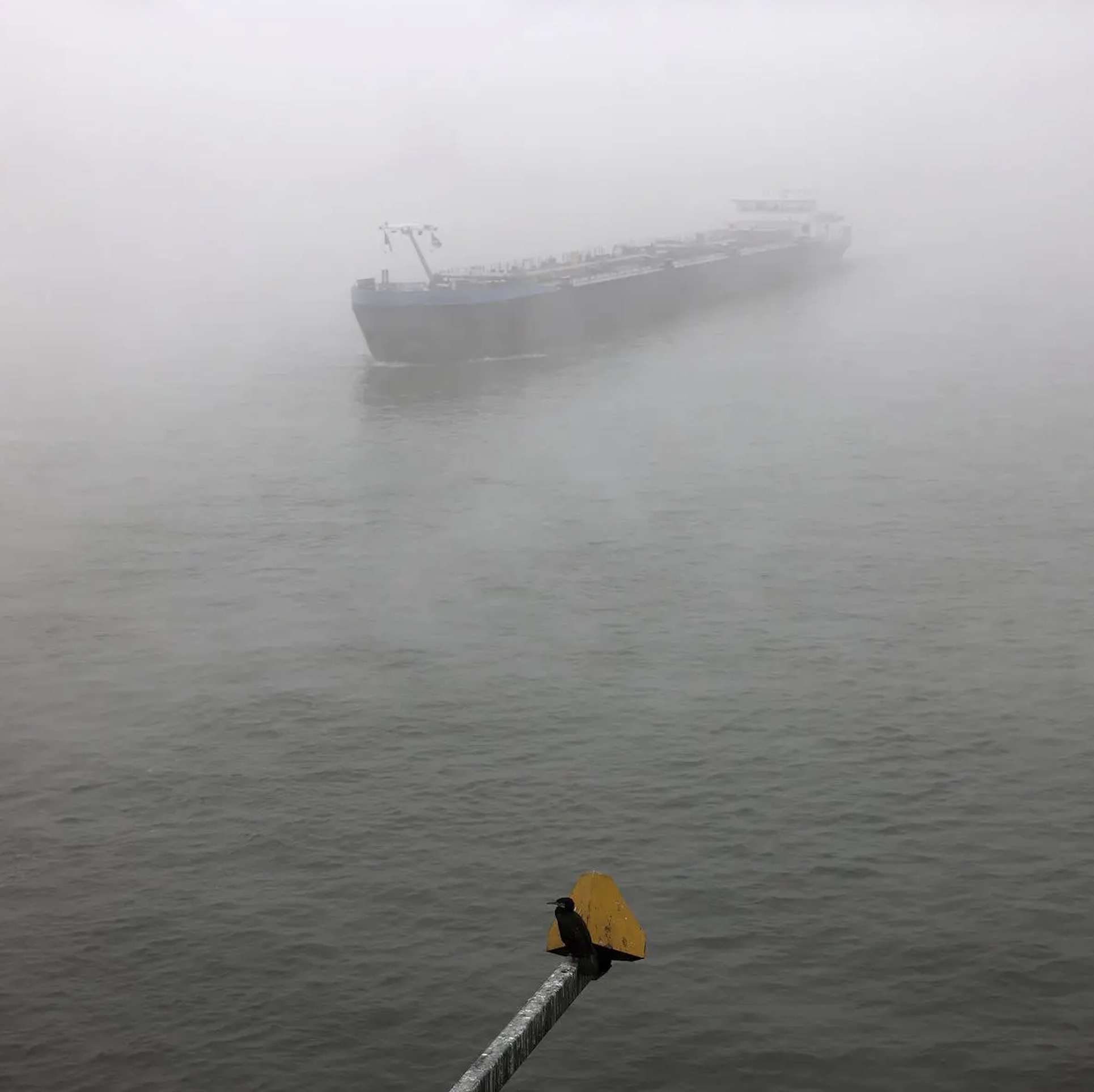 Frachtschiff im dichten Nebel auf dem Rhein