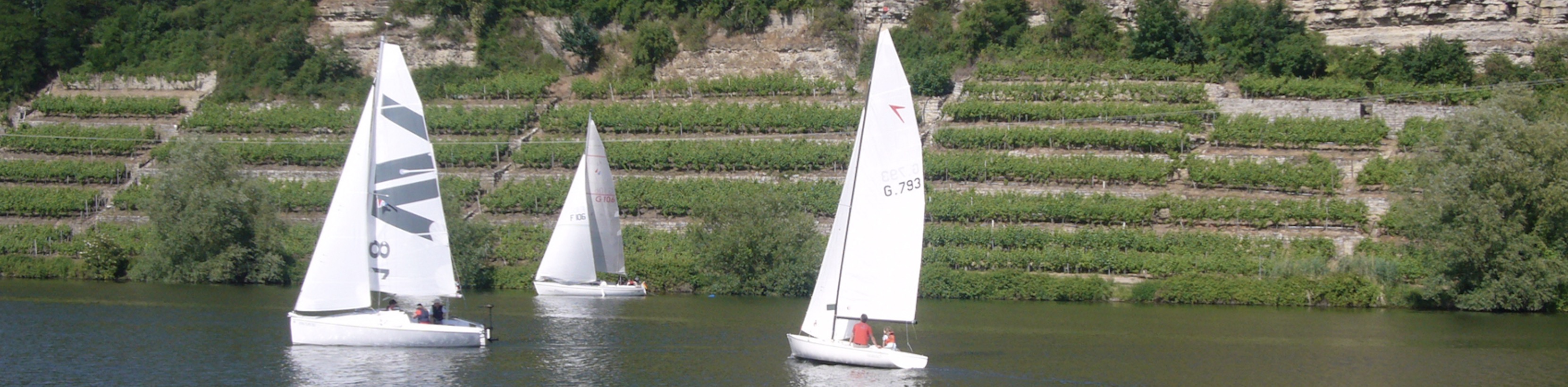 Segelboote auf dem Neckar vor Weinbergterrassen